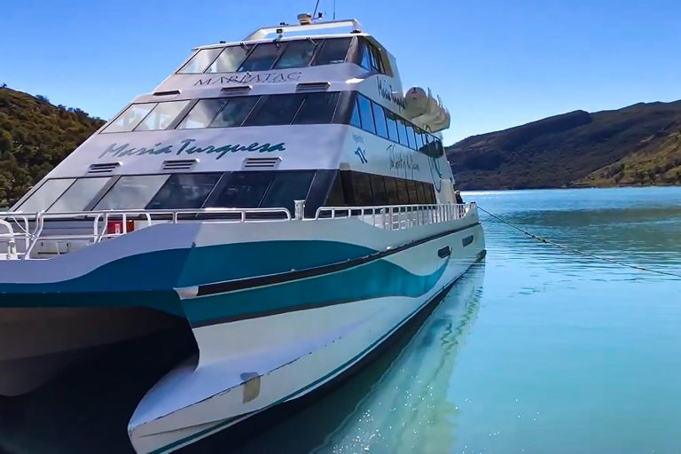 Viaje Directo al Embarque: Traslado al Puerto Bandera